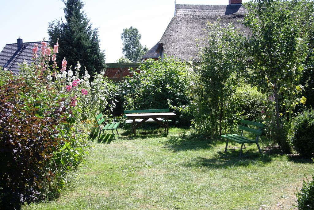 Landhaus Martens Bresewitz Exterior photo